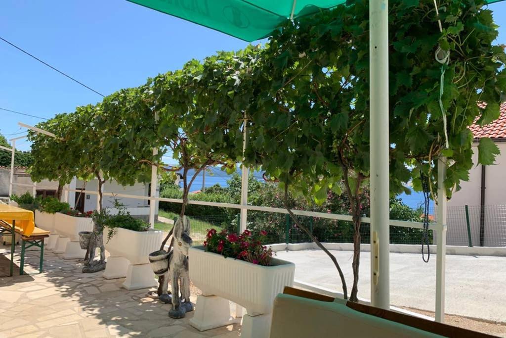 Apartment 4 With Pool And Amazing Sea View 洛克瓦罗戈兹尼察 外观 照片